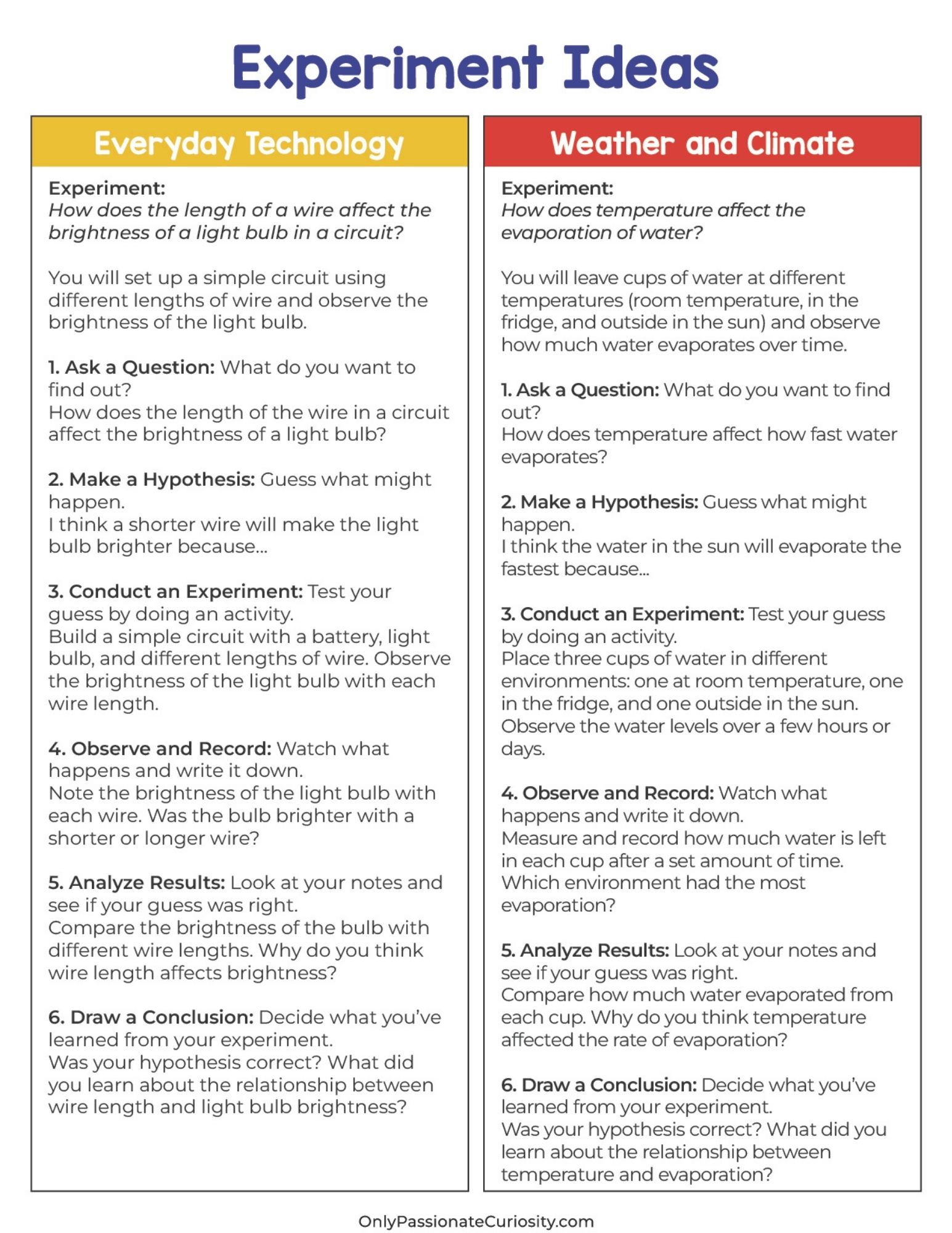 Wonderings - September Homeschool Field Guide - Image 12