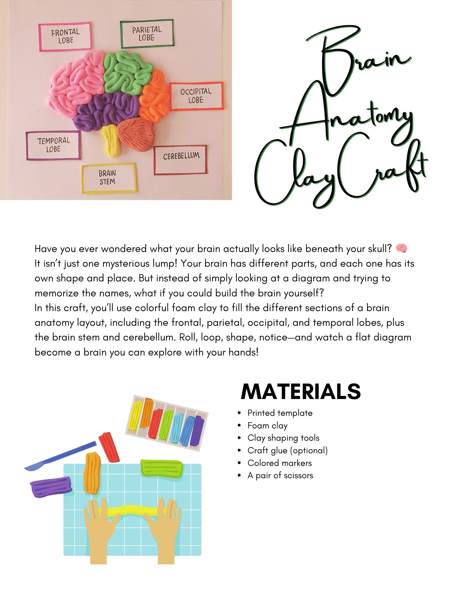 Wonderings - September Homeschool Field Guide - Image 8